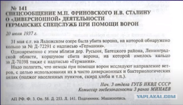 В ГД предложили сформировать эскадрилью «орлов-перехватчиков» для защиты от дронов