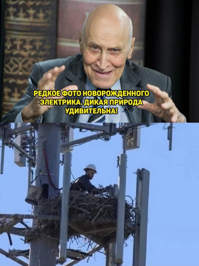 Картинки весёлые, вроде