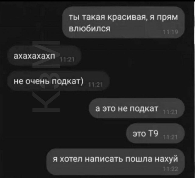 Весёлый полтишок 08.07.23