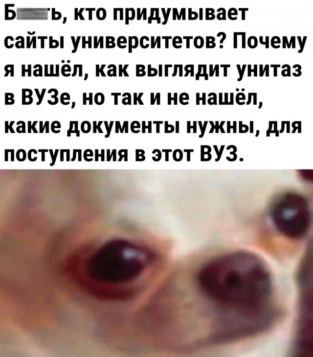 Так себе картинки 17.07.23
