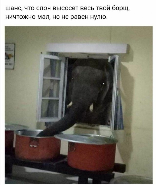 Всего понемногу. От 05.08