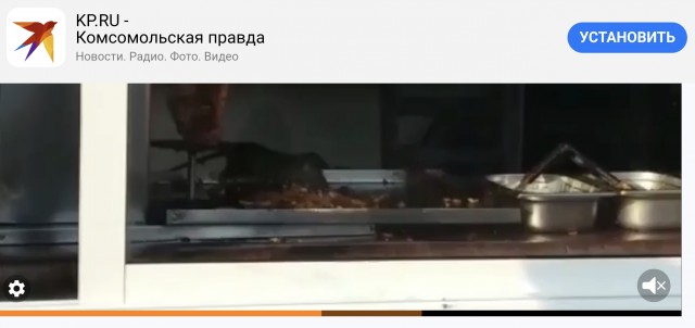 Выросло число отравившихся шаурмой во Владимире