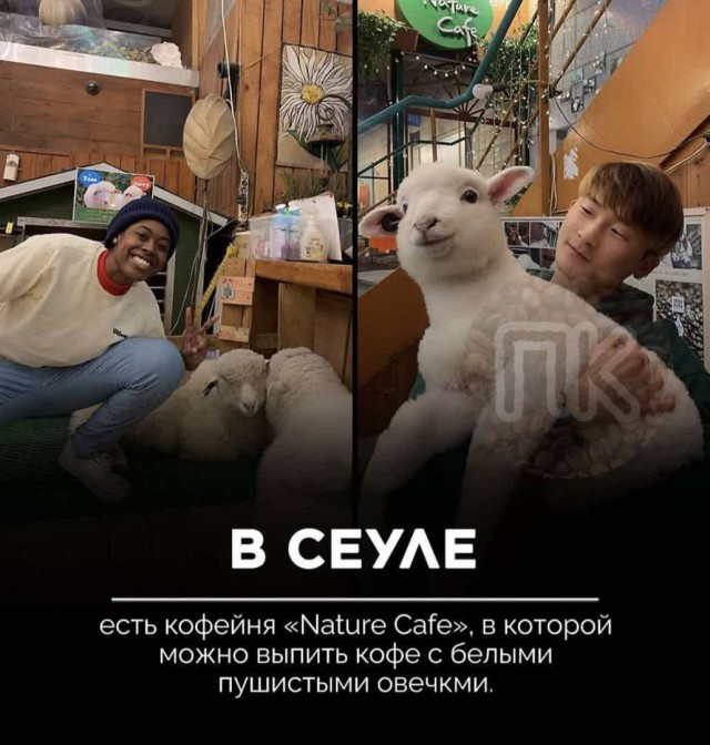 Без врага жизнь скучна, а с врагом - интересна