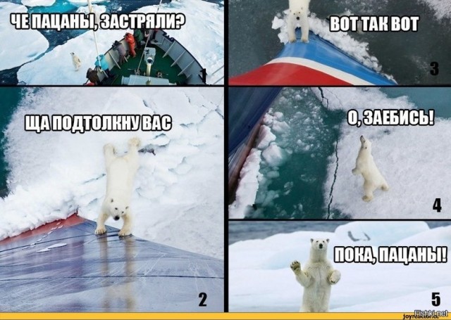 Вся мощь ледоколов России
