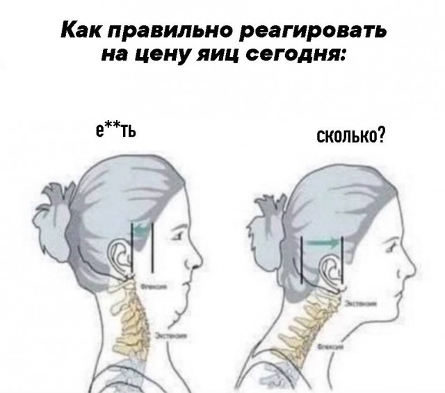 Приколы с налетом деградации