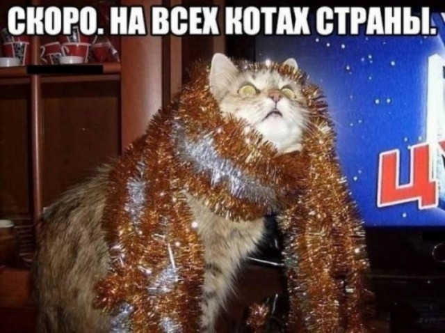 Так себе картинки 31.10.24