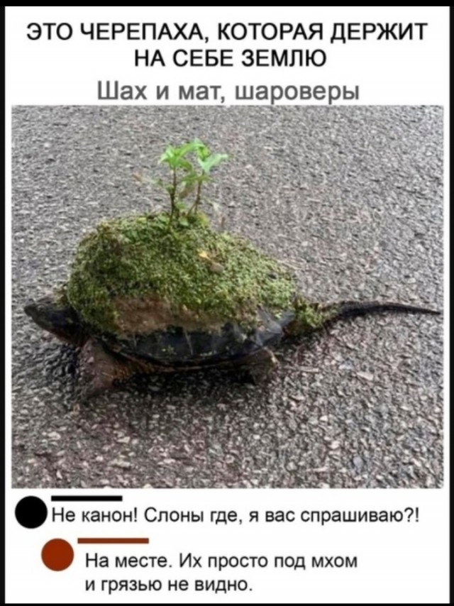 Завалялось тут случайно немного забавных картинок
