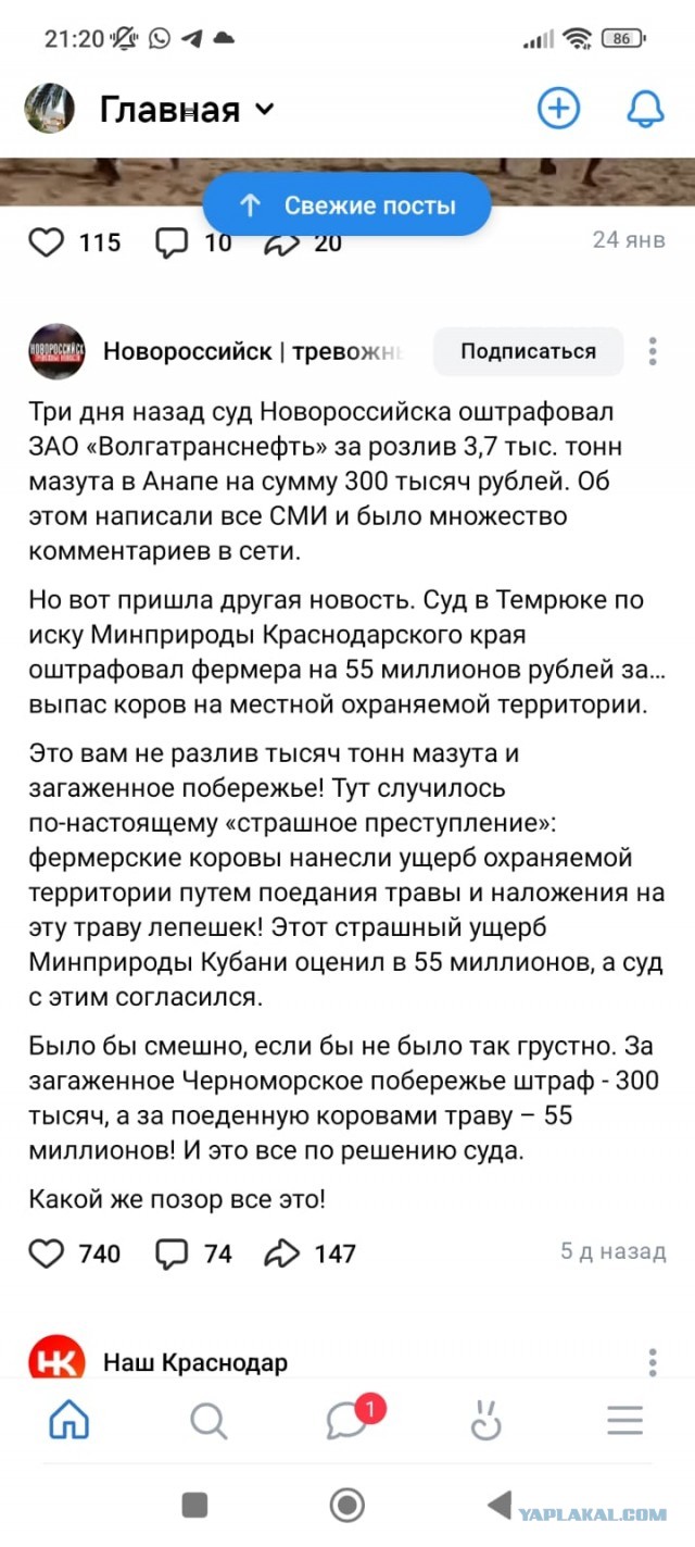 Депутат из Вологды предложил россиянам «скинуться по 50 р» и купить Калифорнию, чтобы не «копаться» в анапском песке с мазутом