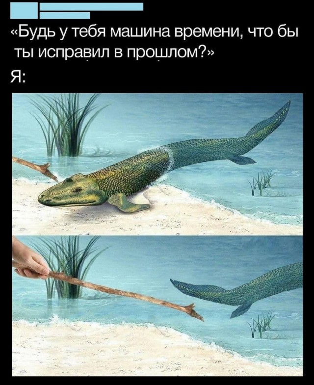Сегодня четверг