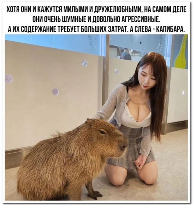 Завалялось тут случайно немного забавных картинок