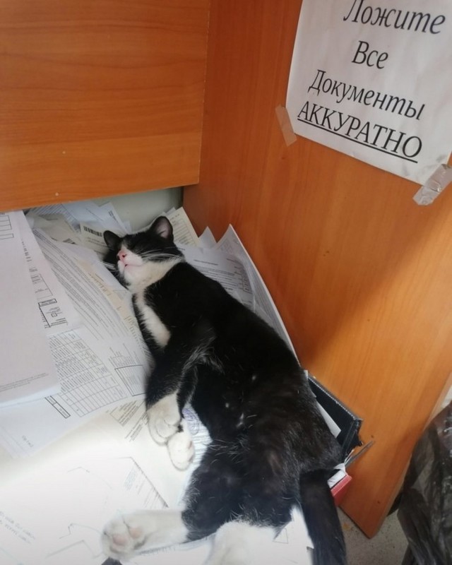 ФотоВинегрет