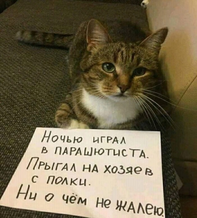 Так себе картинки 13.06.25