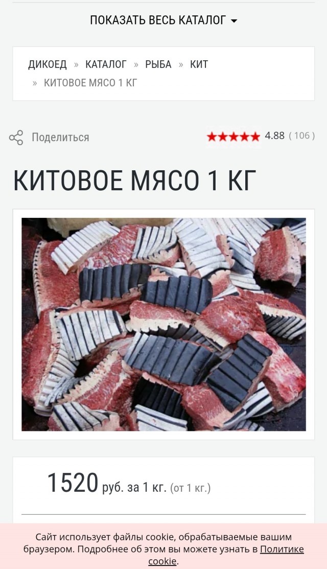 Взаимодействие между людьми и китами