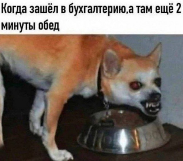 Картинки для деградации 38 (разной степени свежести)