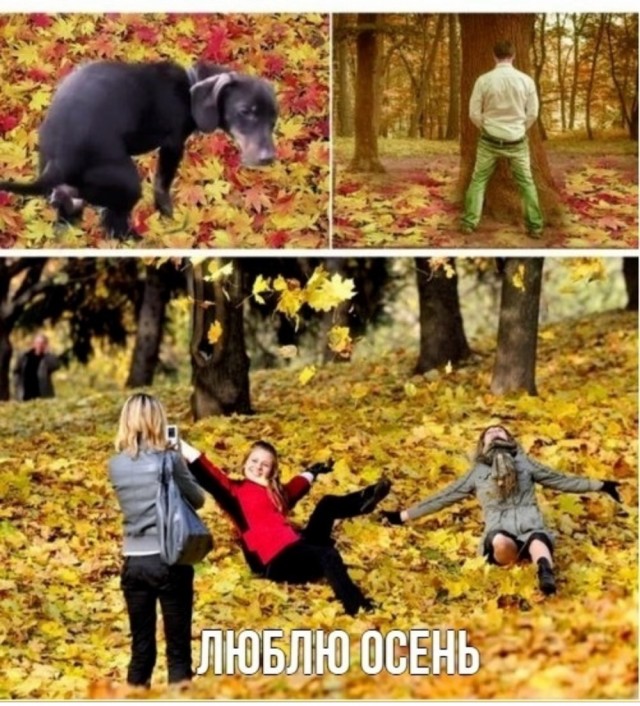 Картинок немного в среду утром