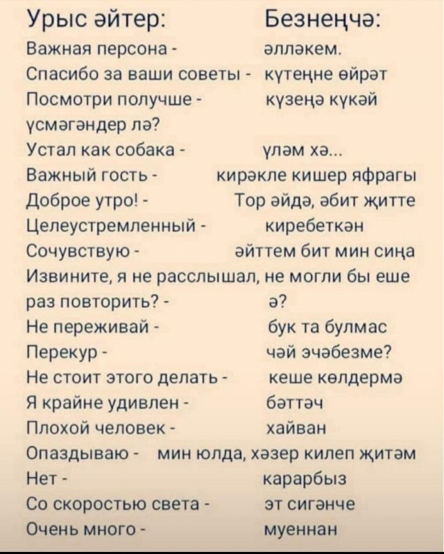 Мопс-татарин