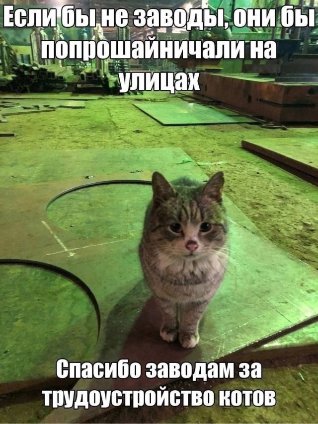 Картинки среды