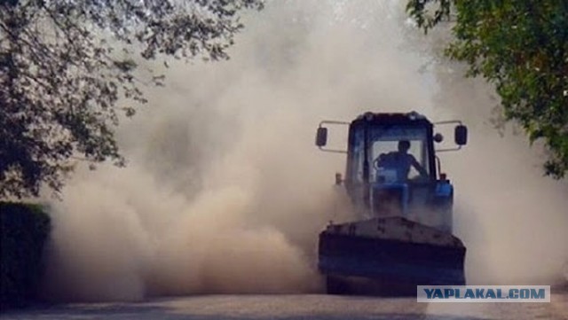 Один из эпизодов массовой работы китайцев