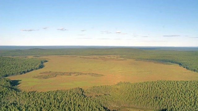 Удар сильнее Хиросимы, деревья в эпицентре стоят, а кратера нет. Почему Тунгусский взрыв до сих пор боятся объяснять?