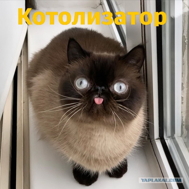 Пришлось слегка разобрать авто