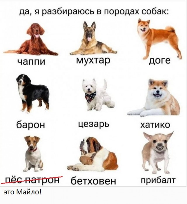 Четверговые картинки