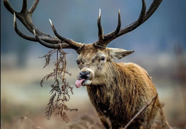 Ерунда какая-то получается
