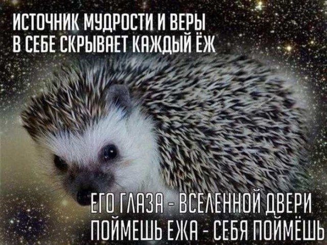 Картинки для деградации 158 (разной степени свежести)