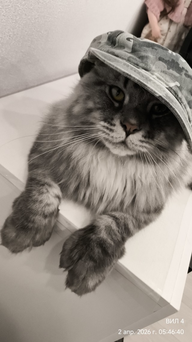 Филя