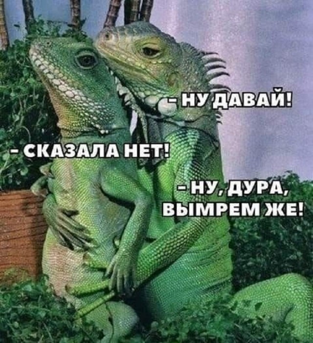Так себе картинки 08.07.26