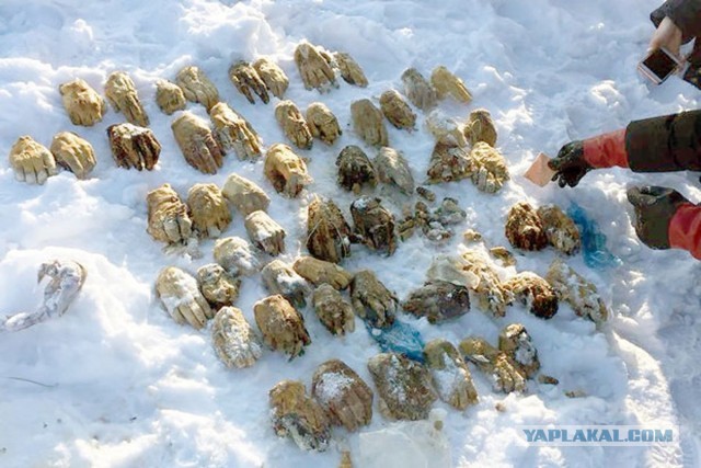 Воровство в магазинах