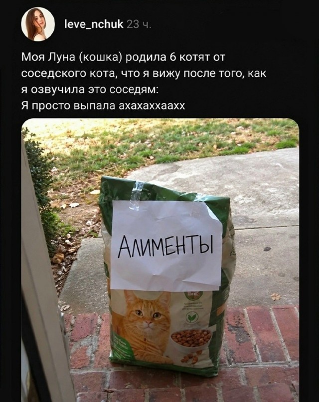 Так себе картинки 22.10.26