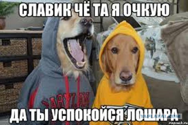 Дерзкие и брутальные