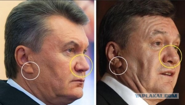 А был ли Янукович?