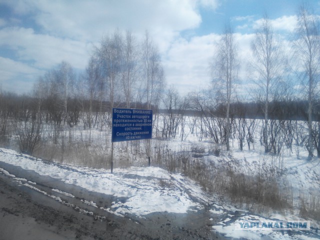 Странствия желтой скамейки)