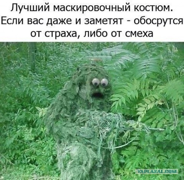 Всем зеленки!