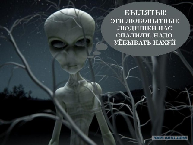 Кто знает от какой техники эти следы?