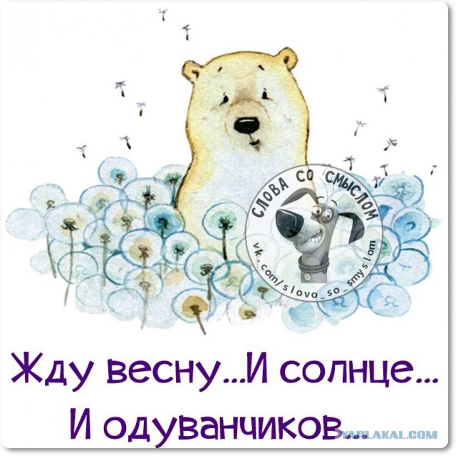 Веселые жизненные наблюдения из Вредного журнала