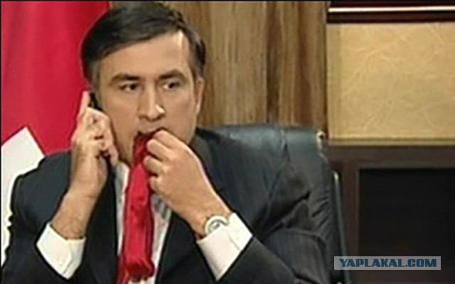 Саакашвили готов уволить 24 из 27 глав районов