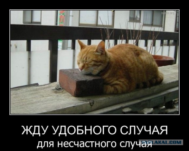 Пора сваливать