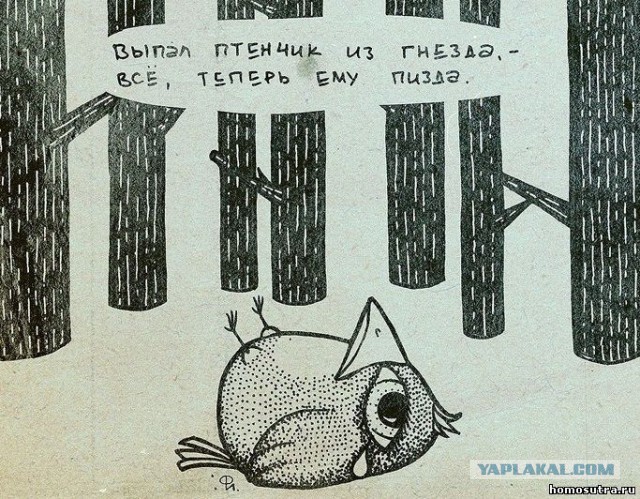 Теперь у нас ручная синичка