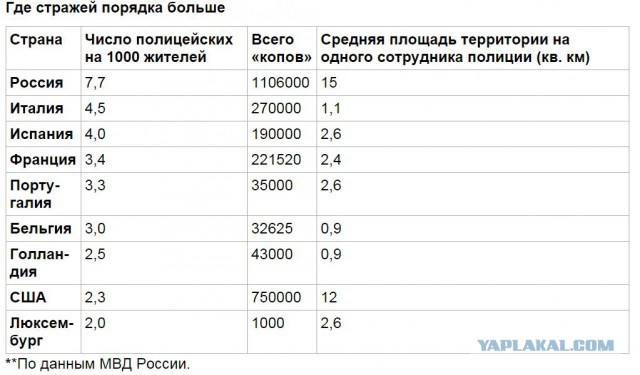Все, что вы хотели знать о полиции США