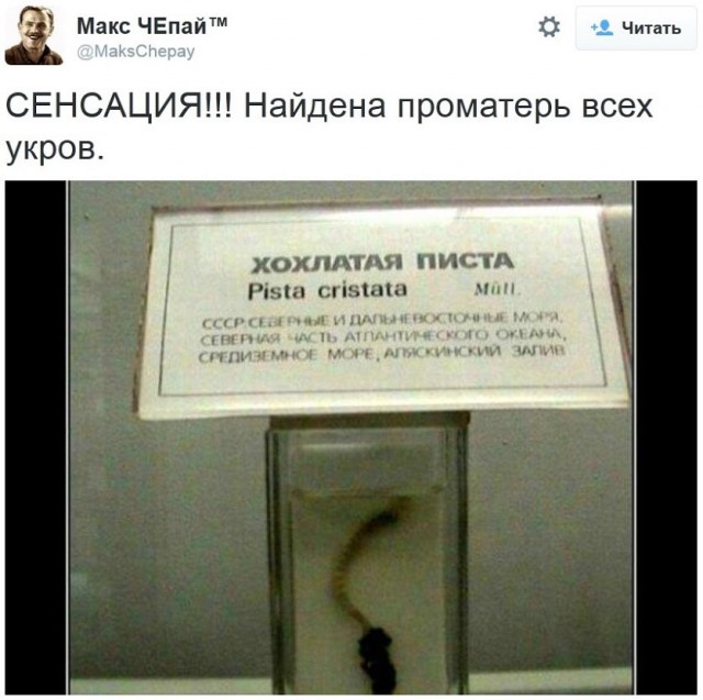 Месяц в 404