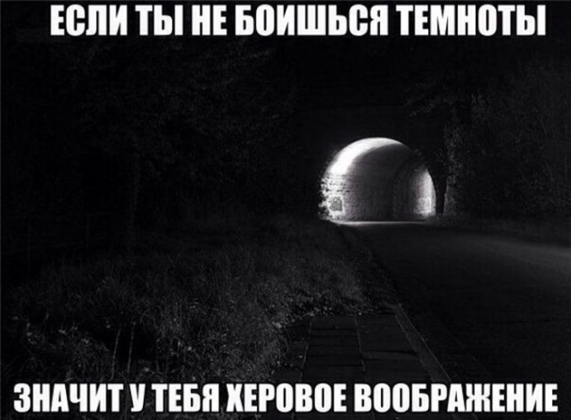 Прикольные фото и картинки