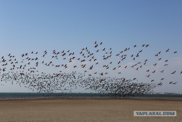 Отчет о путешествии в  Перу