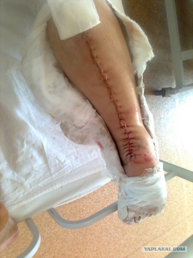 Скоро весна. В тренажерных залах буйно цветут подснежники