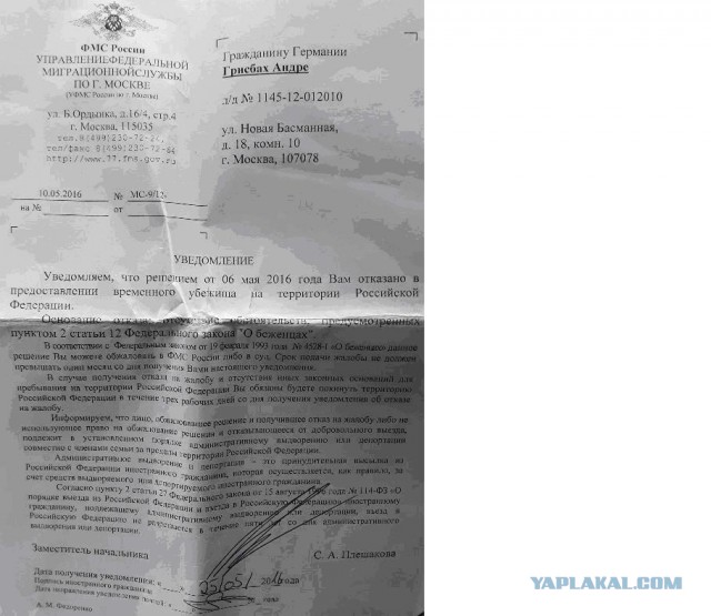 Немецкая многодетна семья просит политического убежища в России.