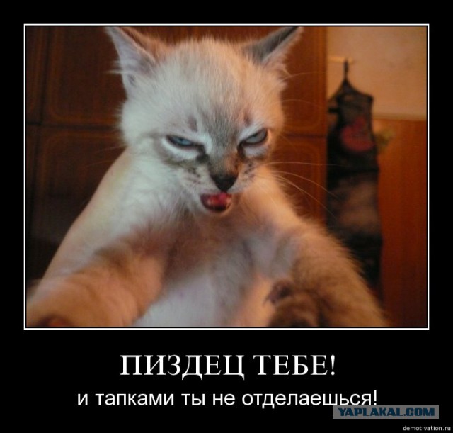 Очень жёсткое кидалово