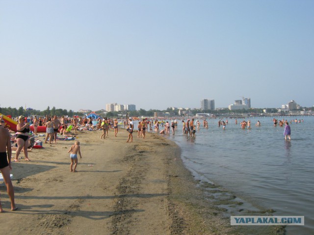 Туристы просят Путина остановить кишечную инфекцию в Сочи