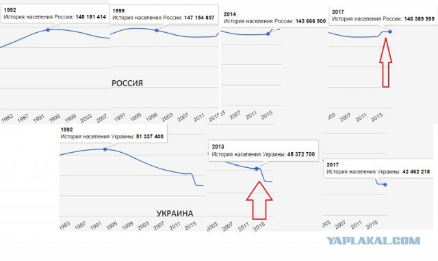 У Кировчанина накипело