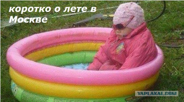 На дачу фигачу